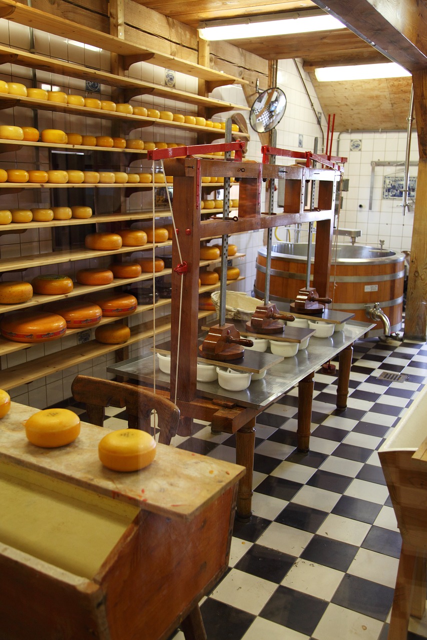 Cheese Manufacturing